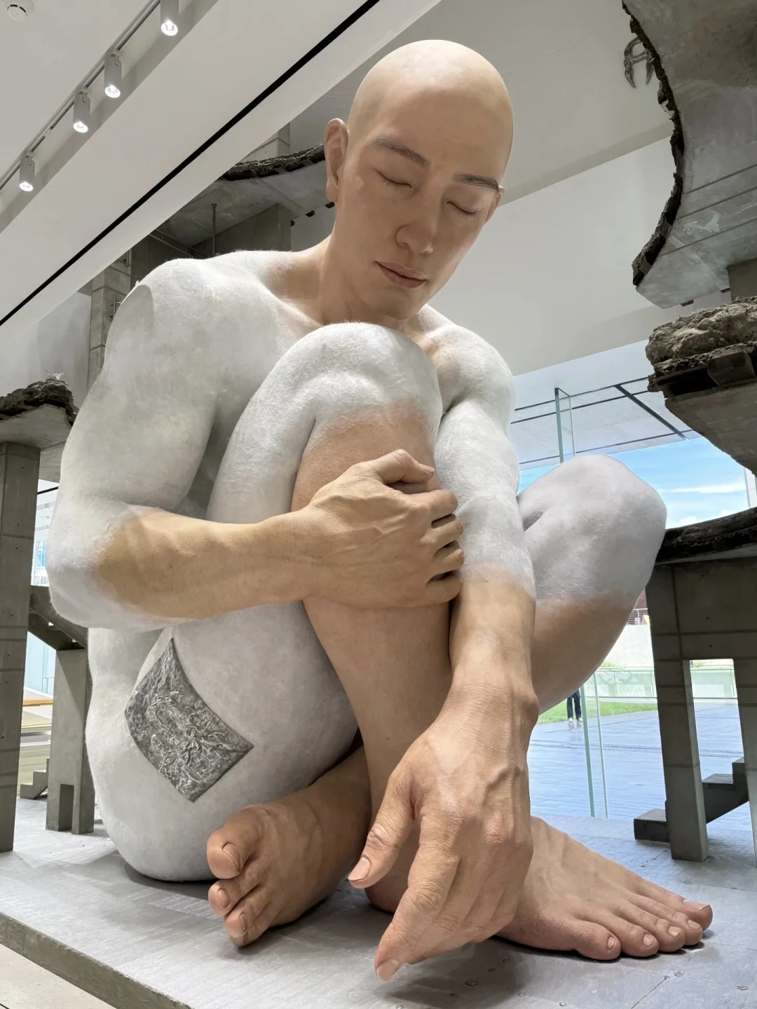 深圳巨人展?