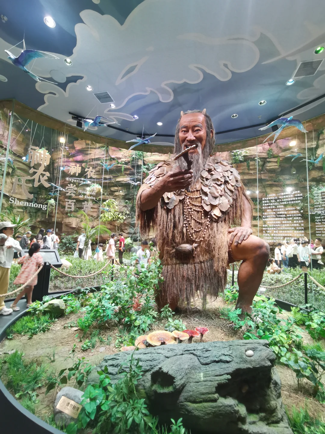 横琴中医药产业园中医药文化体验馆