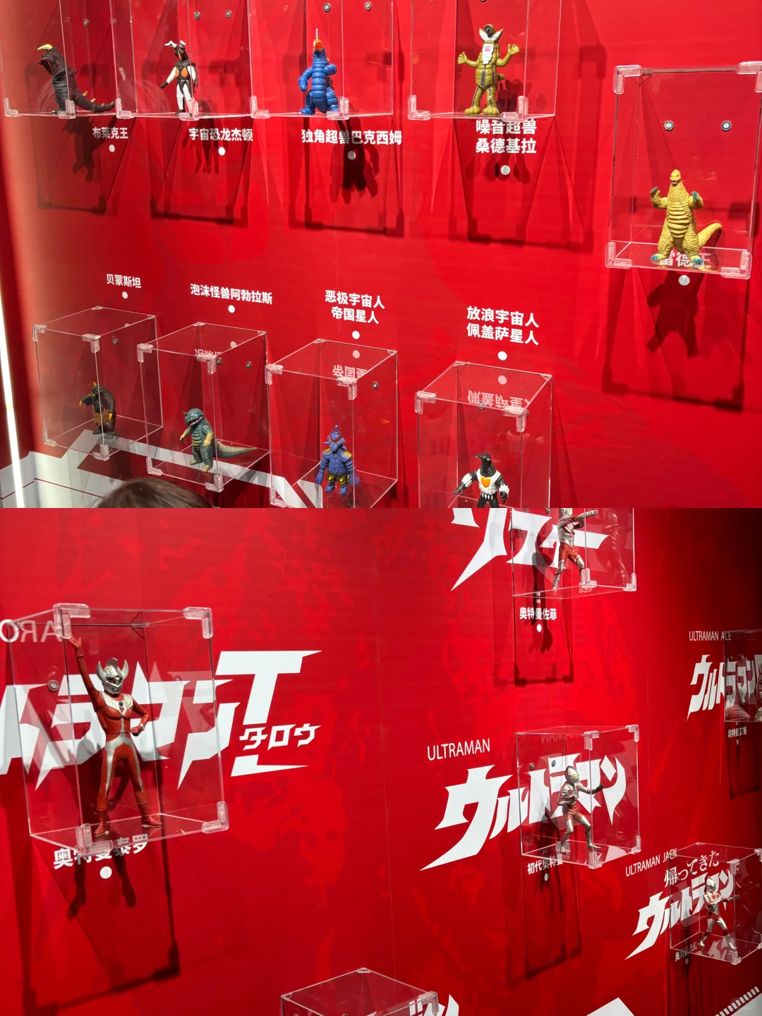 暑期必来广州展会❗️奥特曼俘获每个小朋友