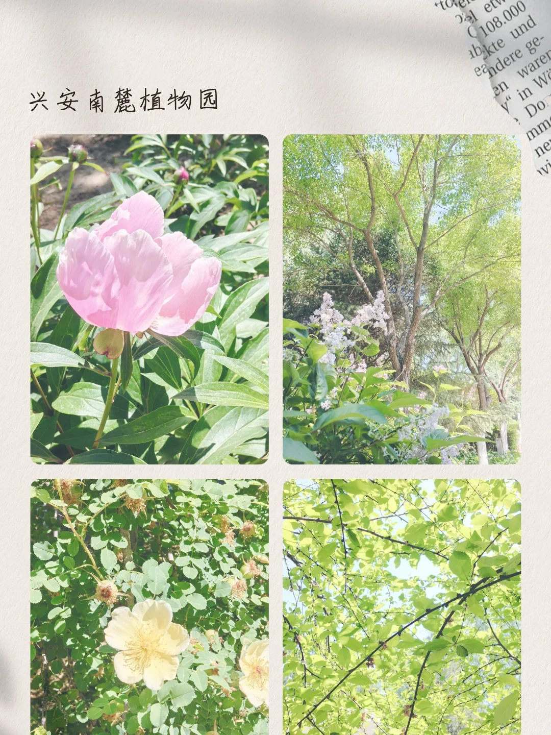 赤峰周末游玩推荐