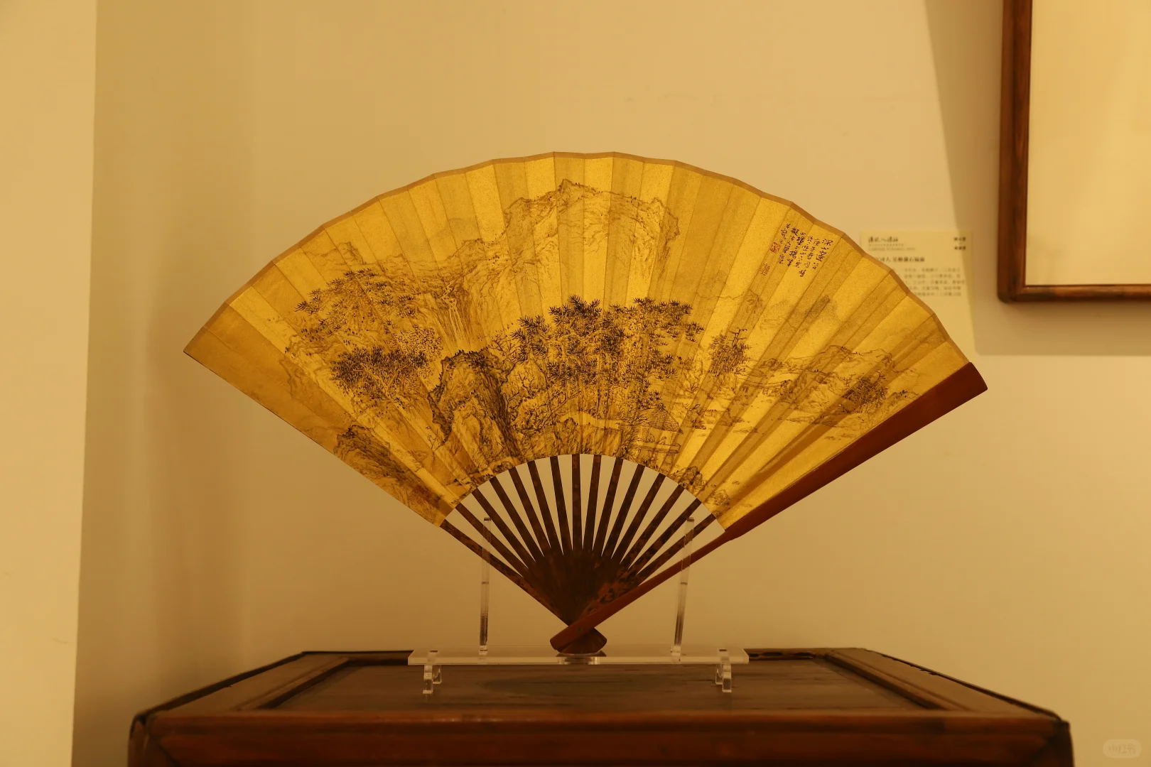 观展