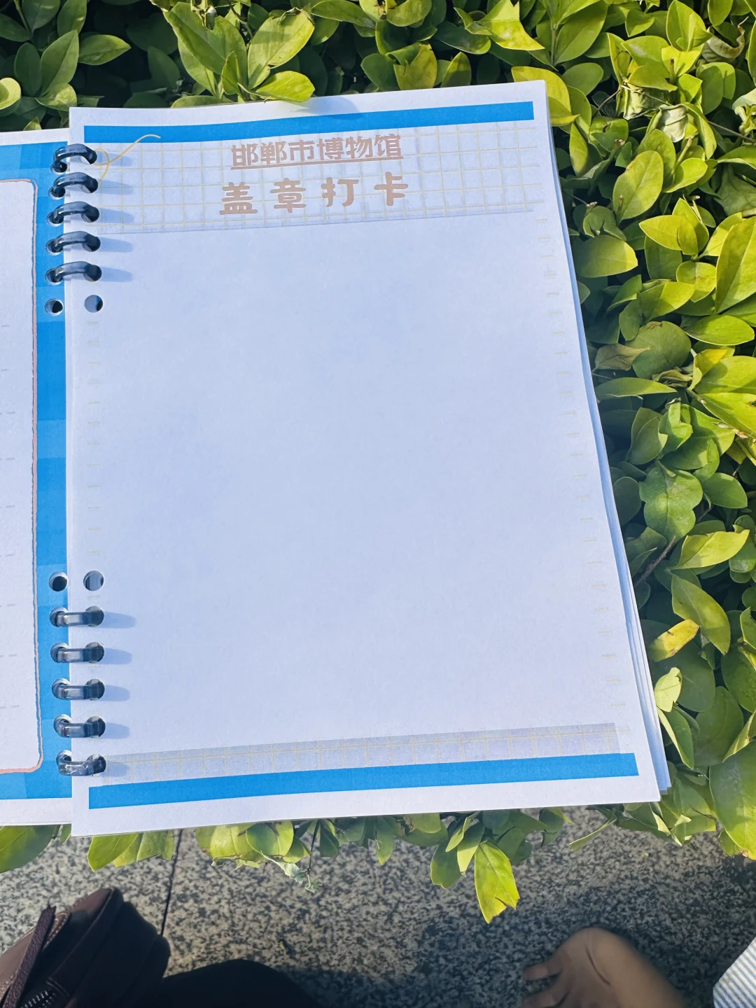 ?邯郸带娃逛博物馆神器!研学手册让娃自嗨