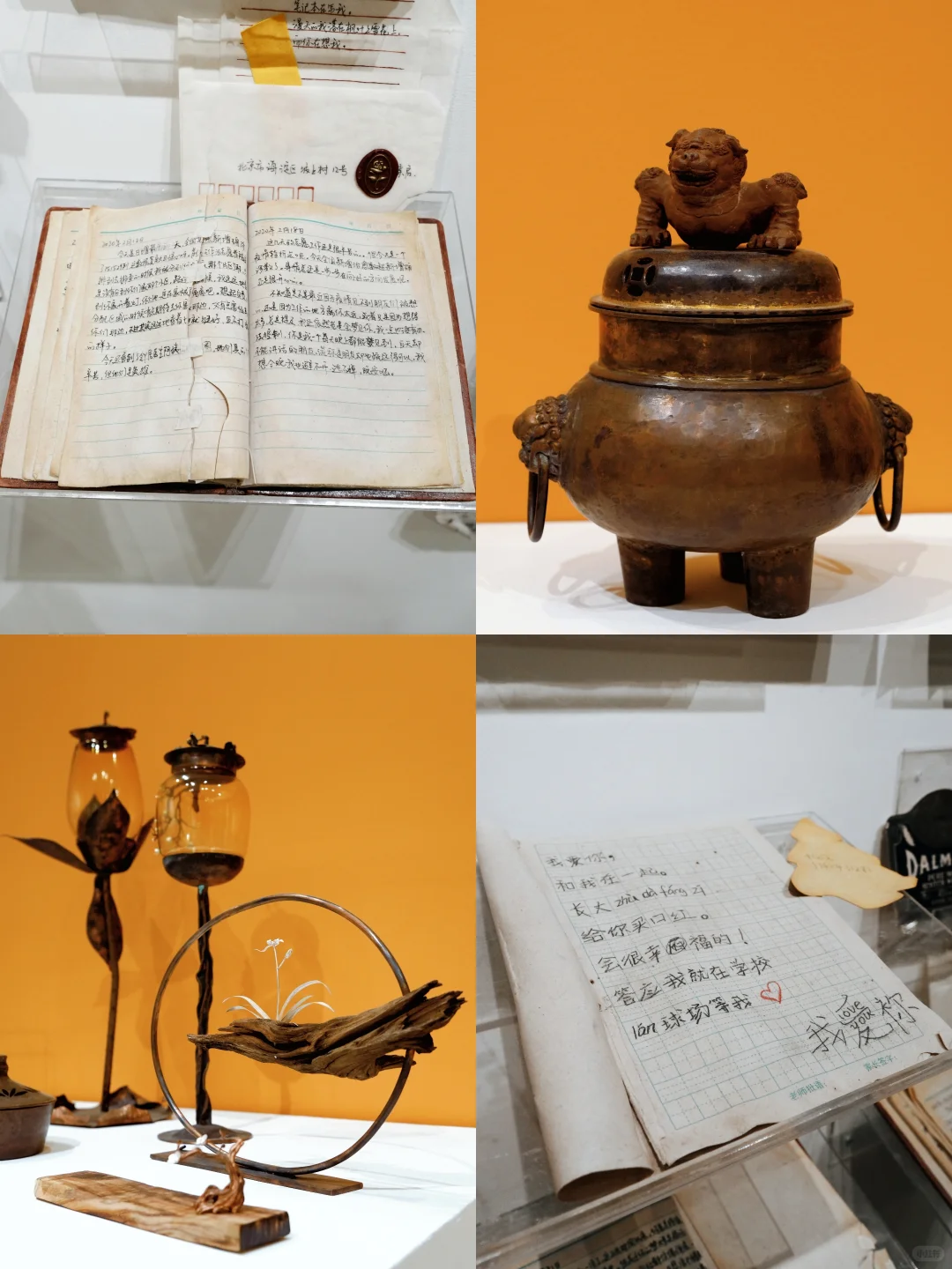 重庆免费艺术展!种子与星光的对话