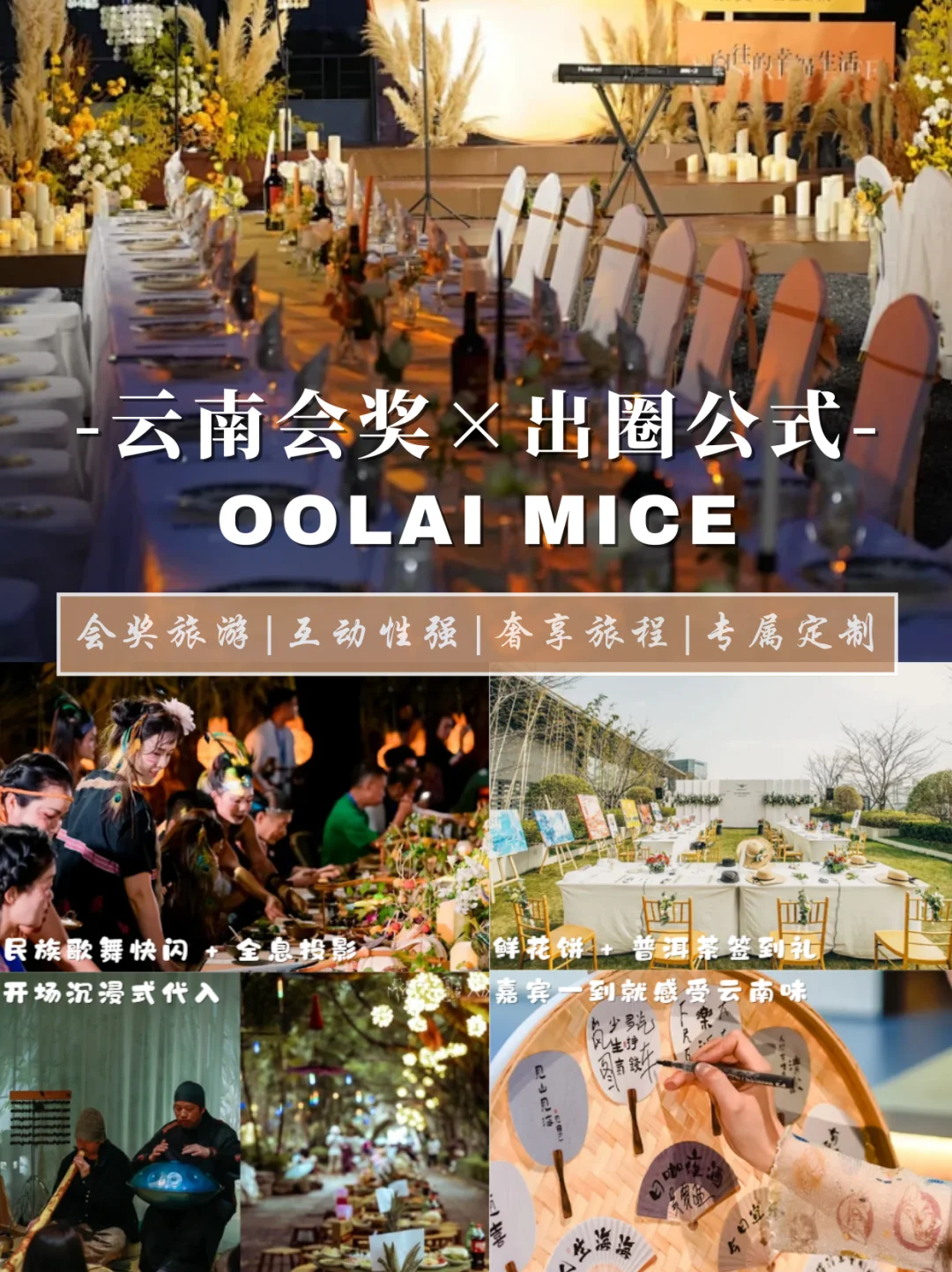 想在招商会杀出重围❓把云南buff叠满就对了
