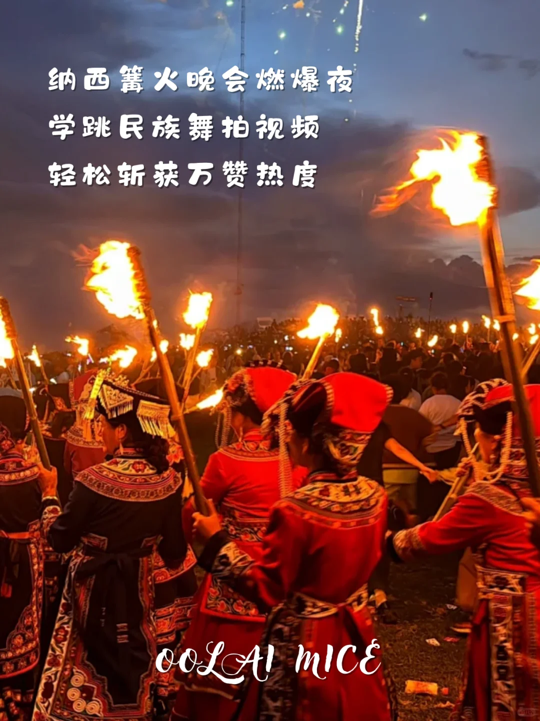 想在招商会杀出重围❓把云南buff叠满就对了