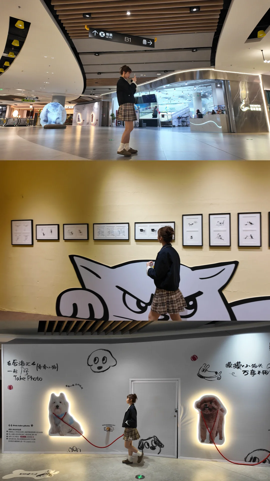 ??后海汇TANGO猫狗疗愈展来啦!✨