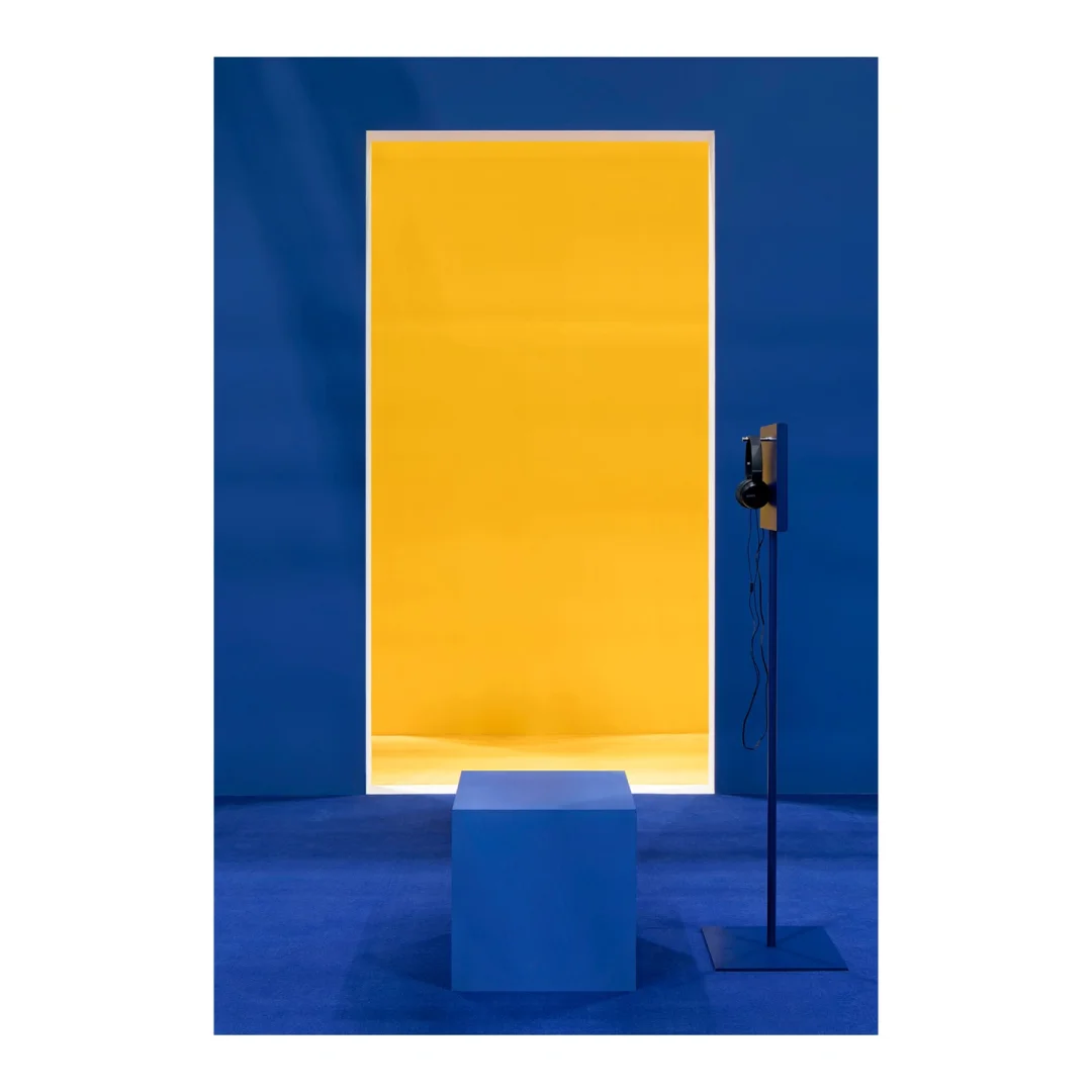 体验 展 分享