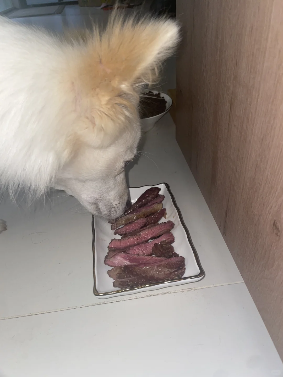 请不要试图抵抗我的美食诱惑