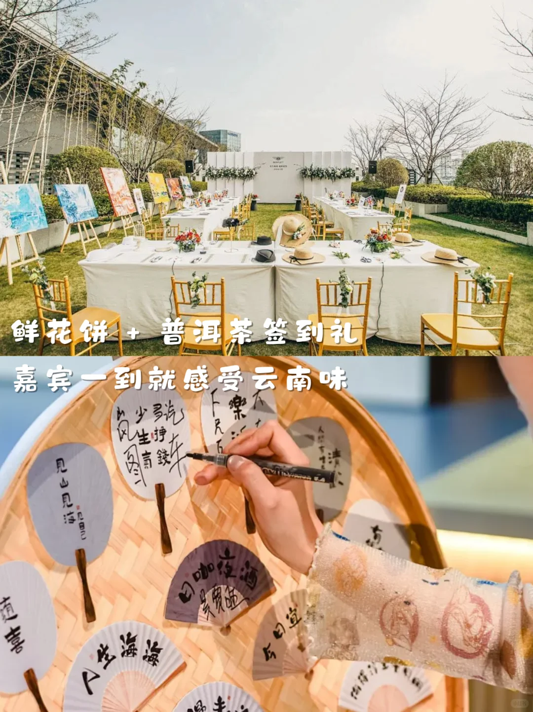 想在招商会杀出重围❓把云南buff叠满就对了