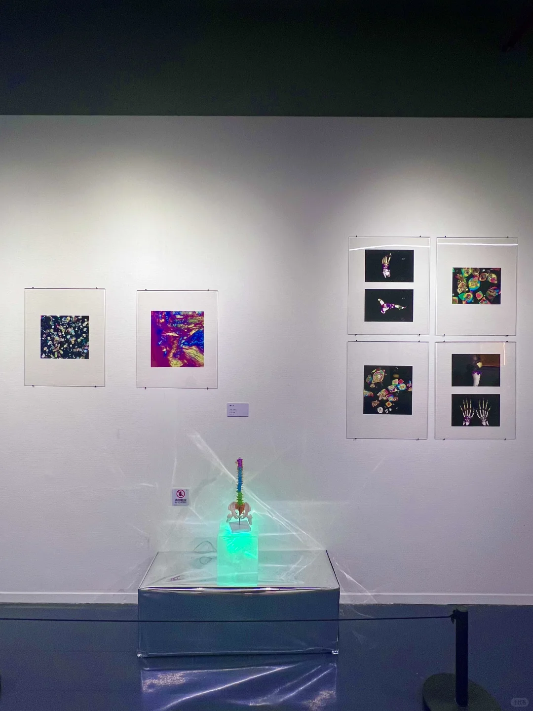 深圳新展｜台风?过后和一场有趣室内展更配