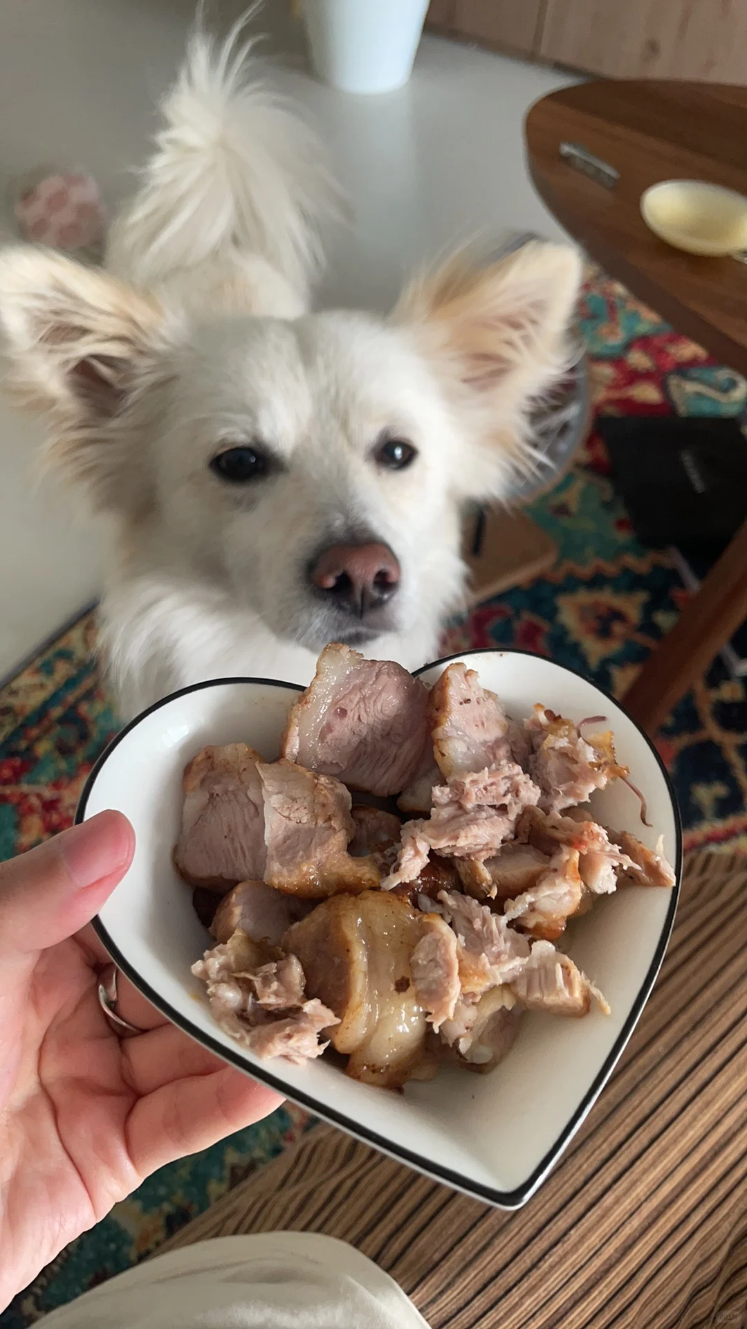 请不要试图抵抗我的美食诱惑