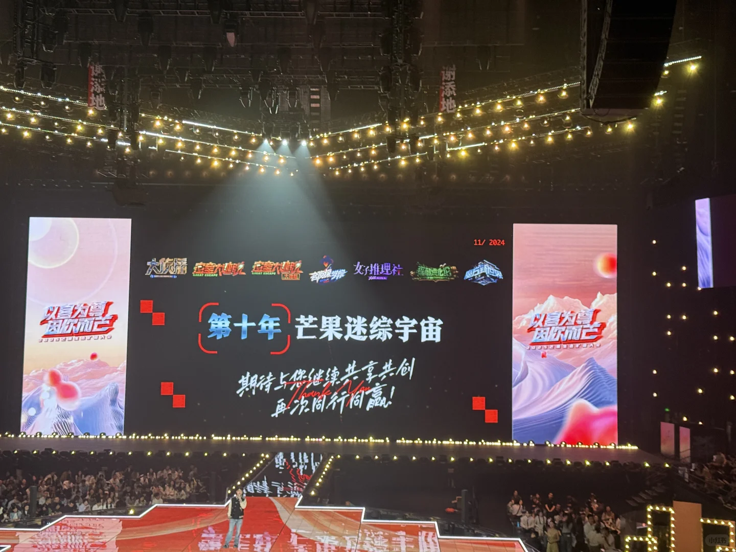 芒果做迷综十年了