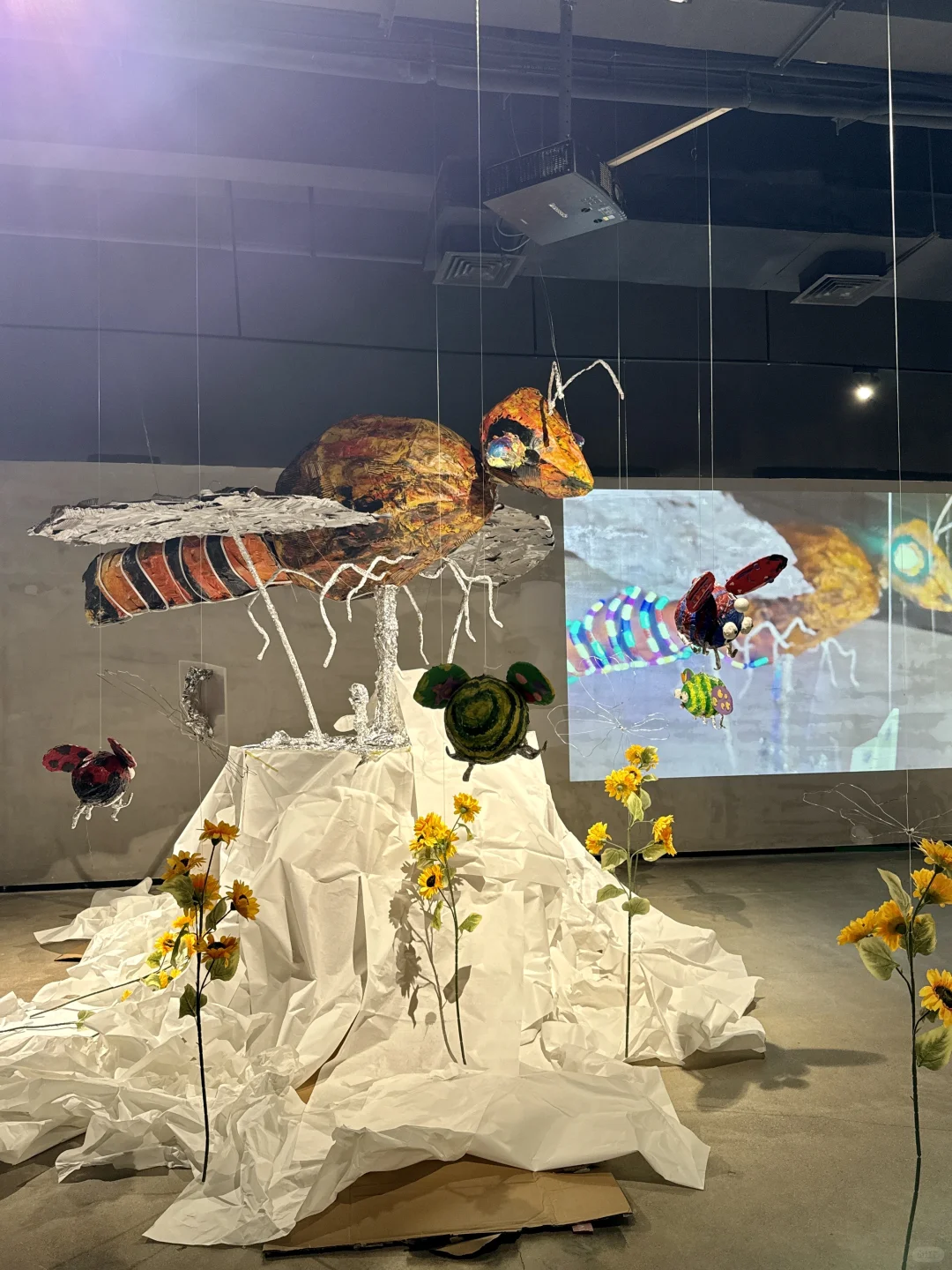 ?♀️?♂️深圳新展!这些展品会动!!