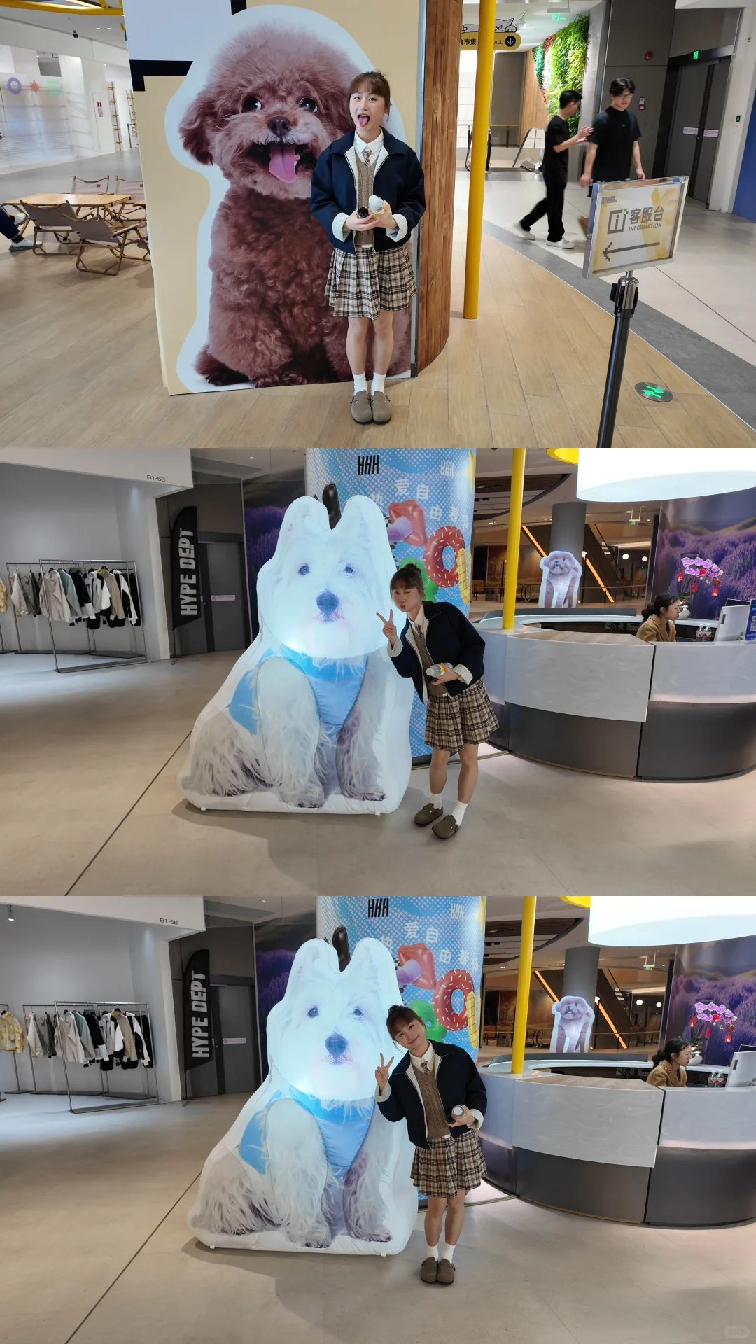 ??后海汇TANGO猫狗疗愈展来啦!✨
