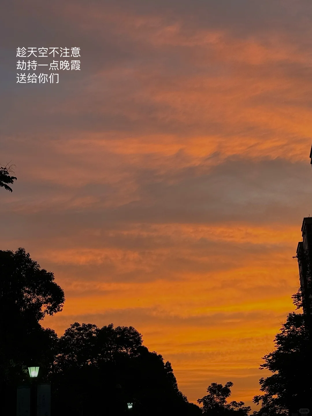 一天敲定3个?️,新人博主要学会主动出击!