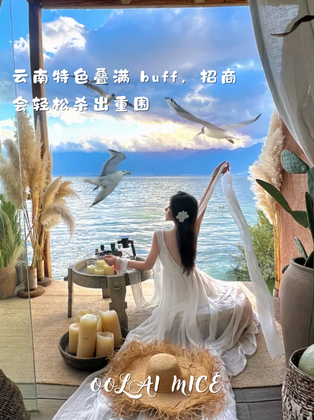 想在招商会杀出重围❓把云南buff叠满就对了