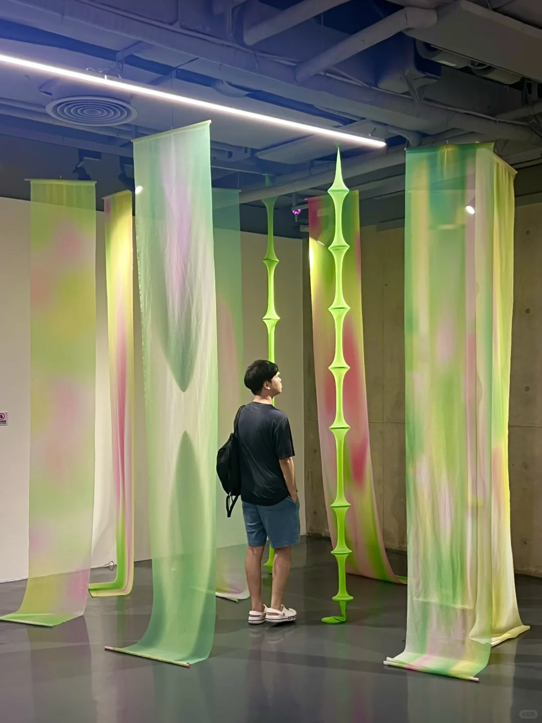 深圳新展｜台风?过后和一场有趣室内展更配