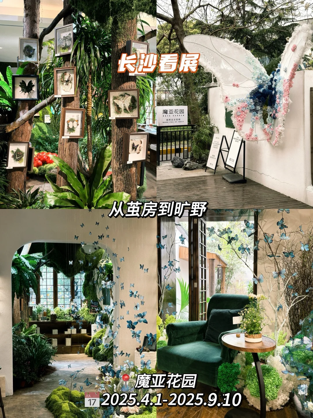 2025年长沙七月展览整理好了?快来看