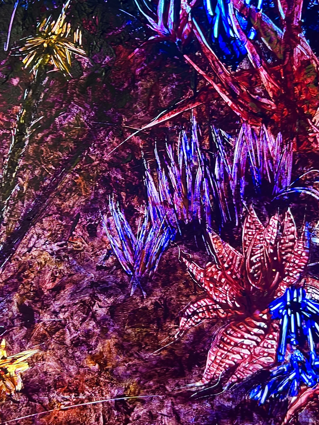 深圳新展｜台风?过后和一场有趣室内展更配
