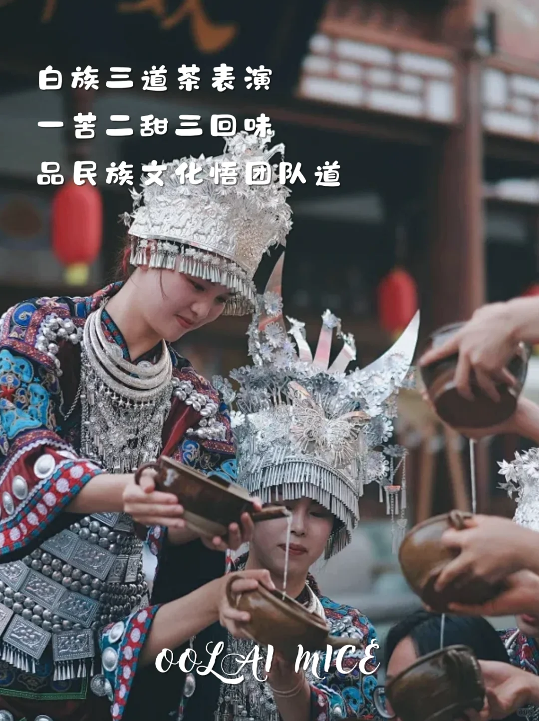 想在招商会杀出重围❓把云南buff叠满就对了