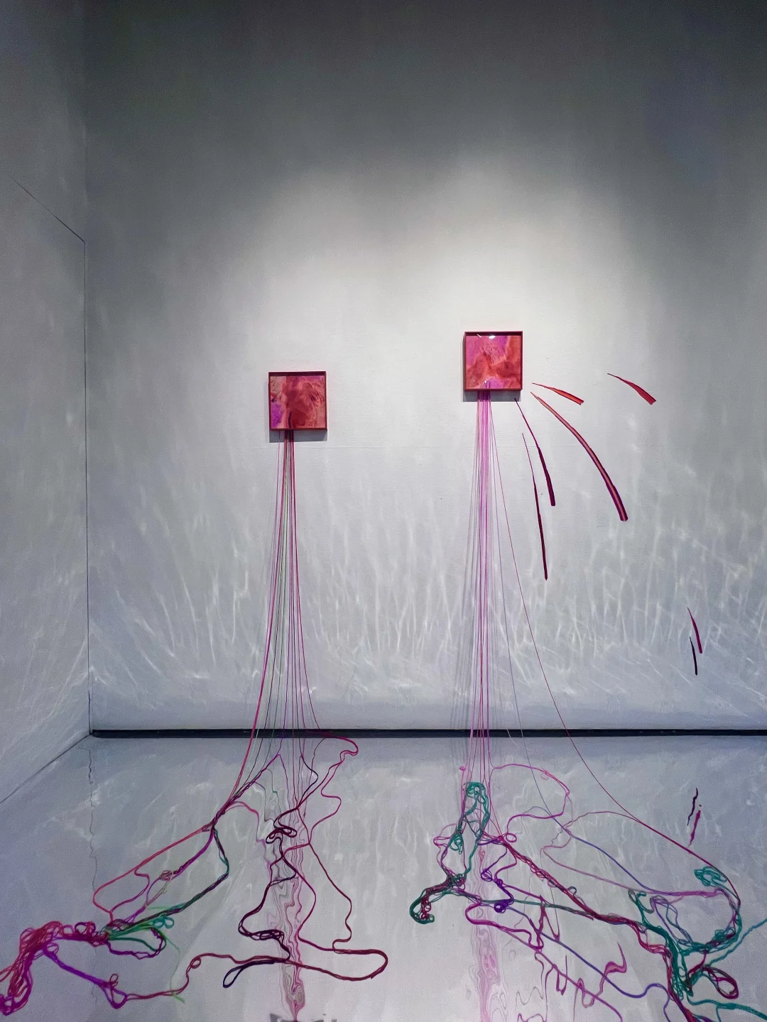 深圳新展｜台风?过后和一场有趣室内展更配