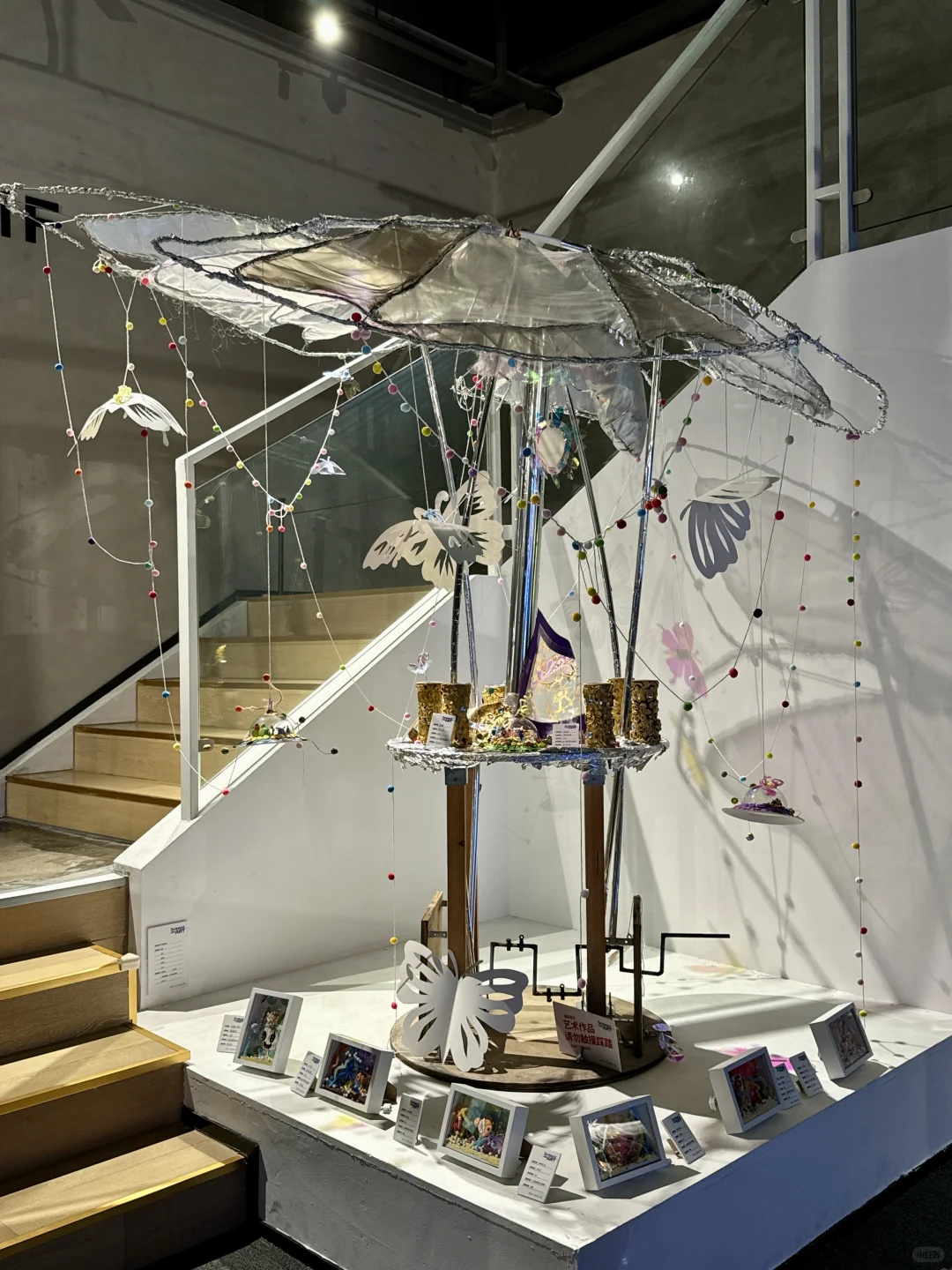 ?♀️?♂️深圳新展!这些展品会动!!