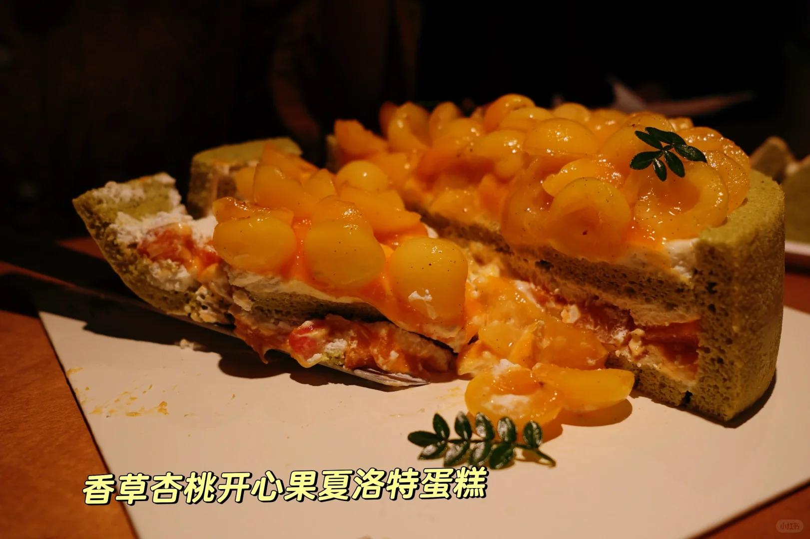 ?面包会有的|2025夏季产品推介会