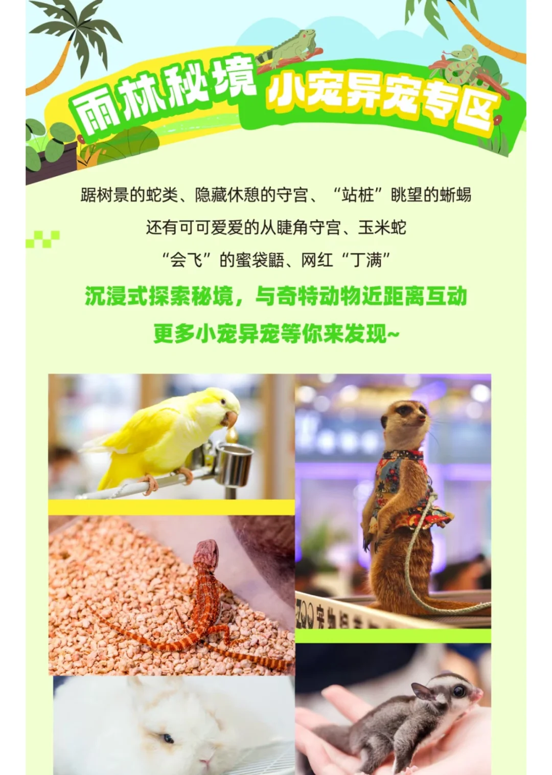 谁还没有‼️上海亚宠展专业日3天通票25！快冲