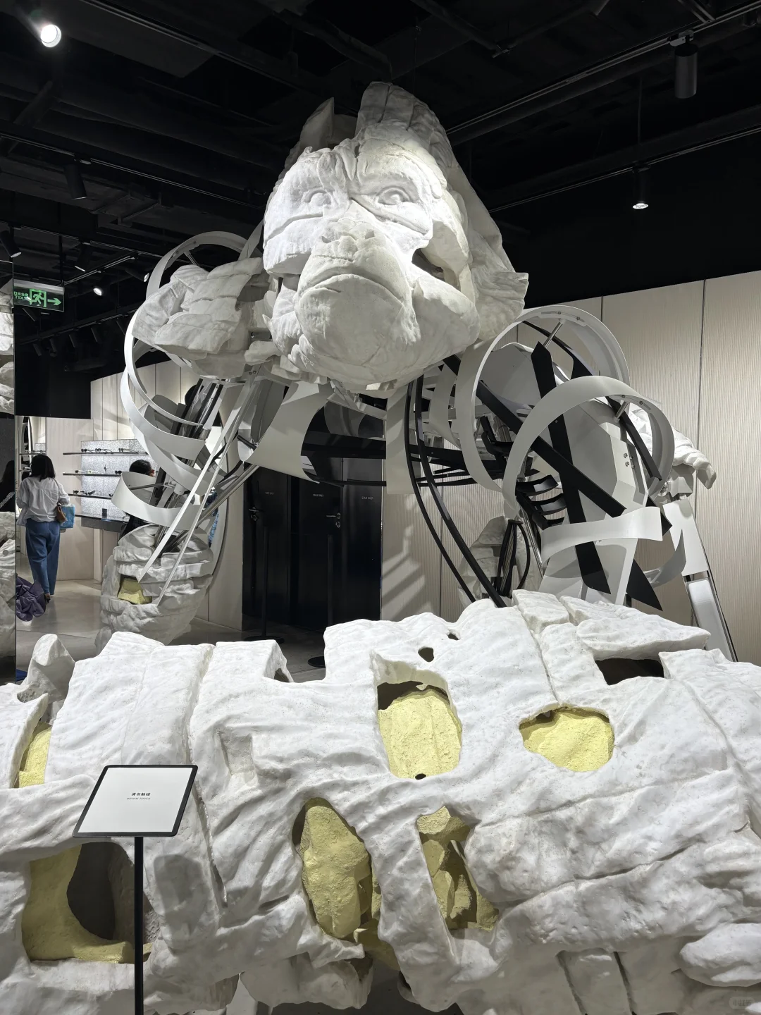 上海巨人展 | 遇见柳智敏！！！！！????