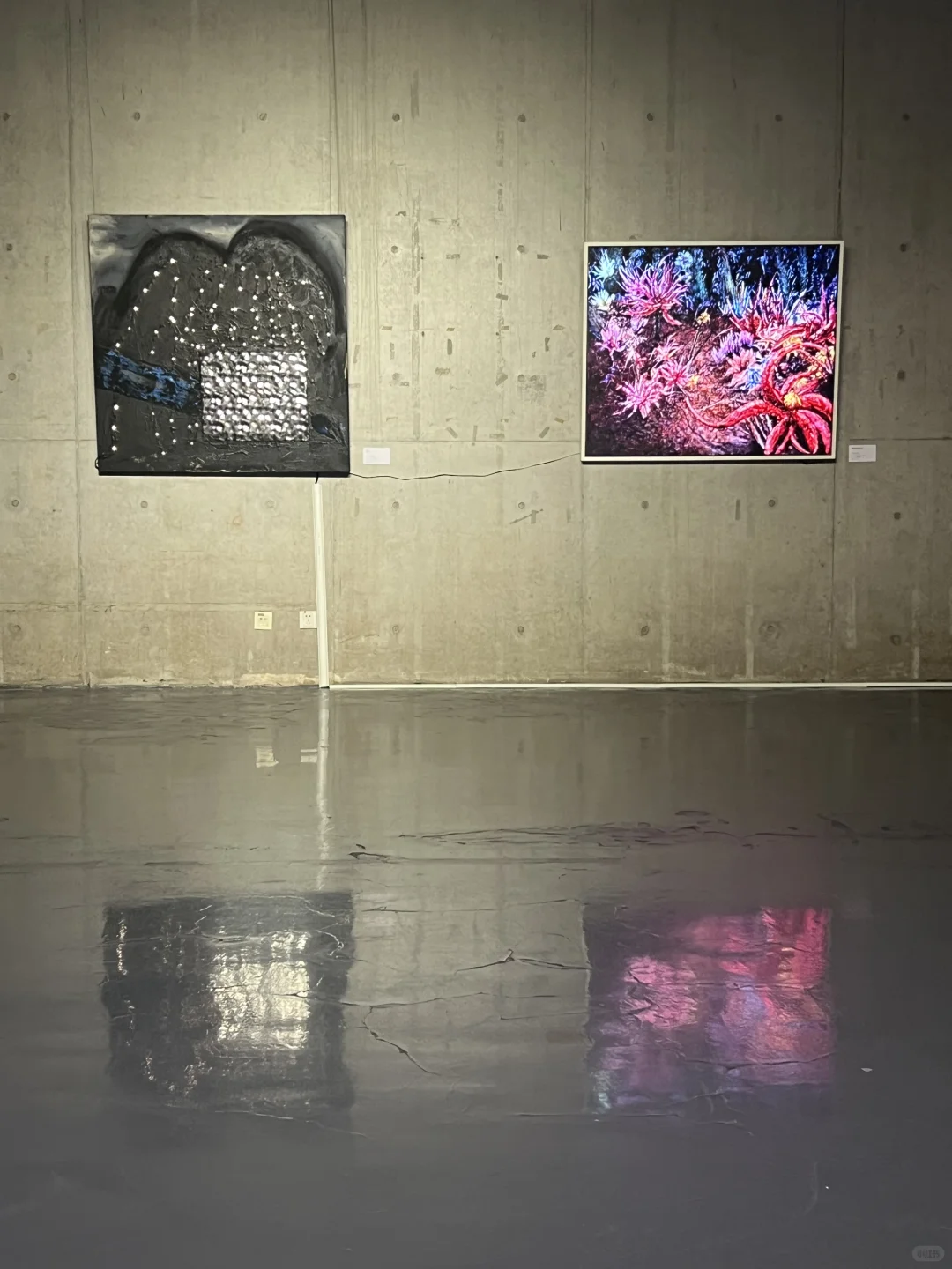 深圳新展｜台风?过后和一场有趣室内展更配