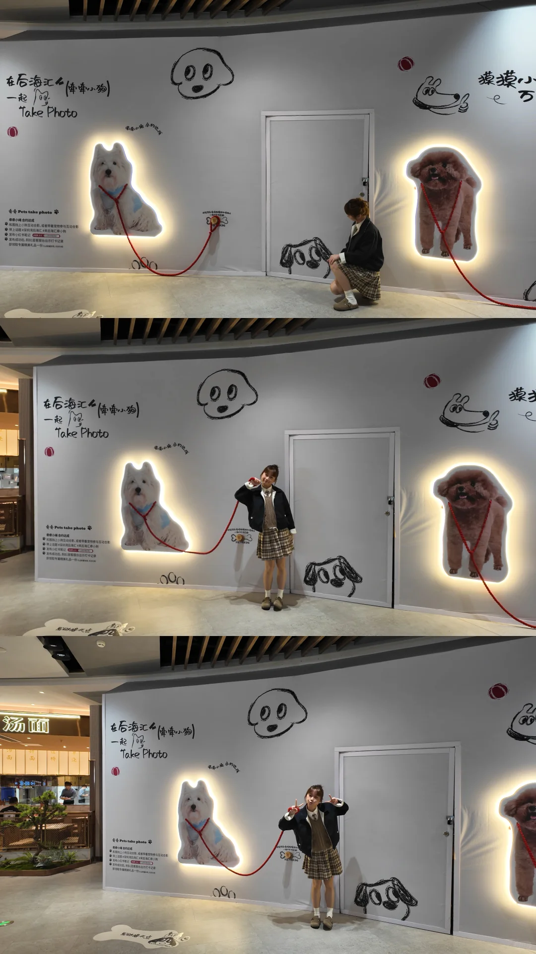 ??后海汇TANGO猫狗疗愈展来啦!✨