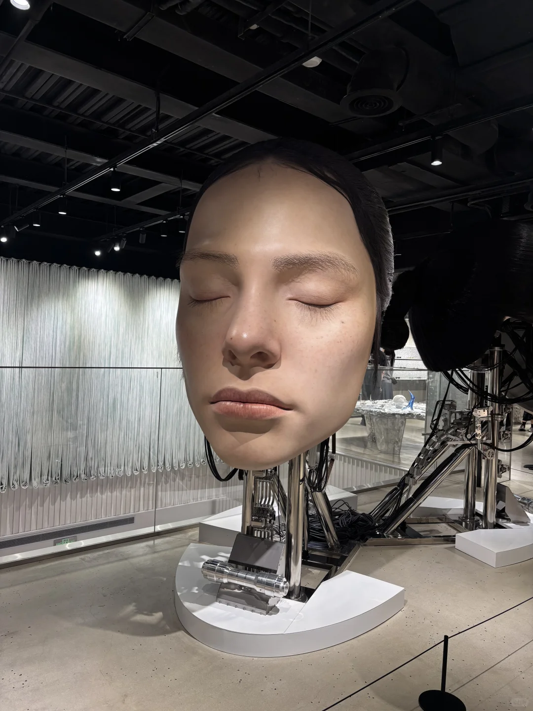 上海巨人展 | 遇见柳智敏！！！！！????