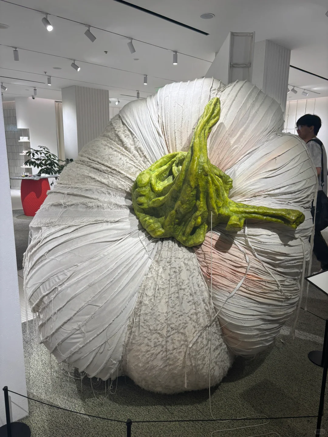 上海巨人展 | 遇见柳智敏！！！！！????
