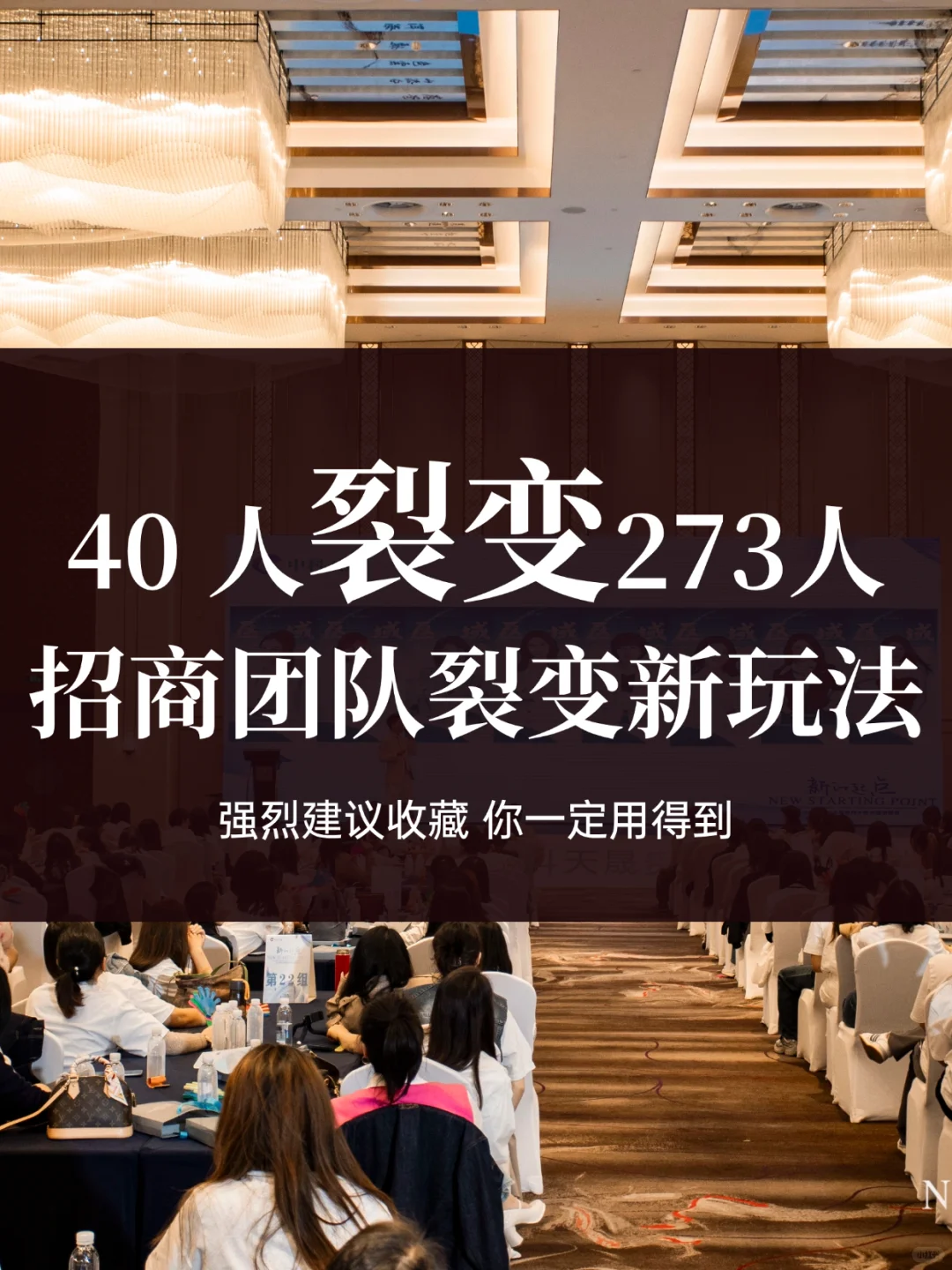 别人招商愁死，我们客户抢着来?