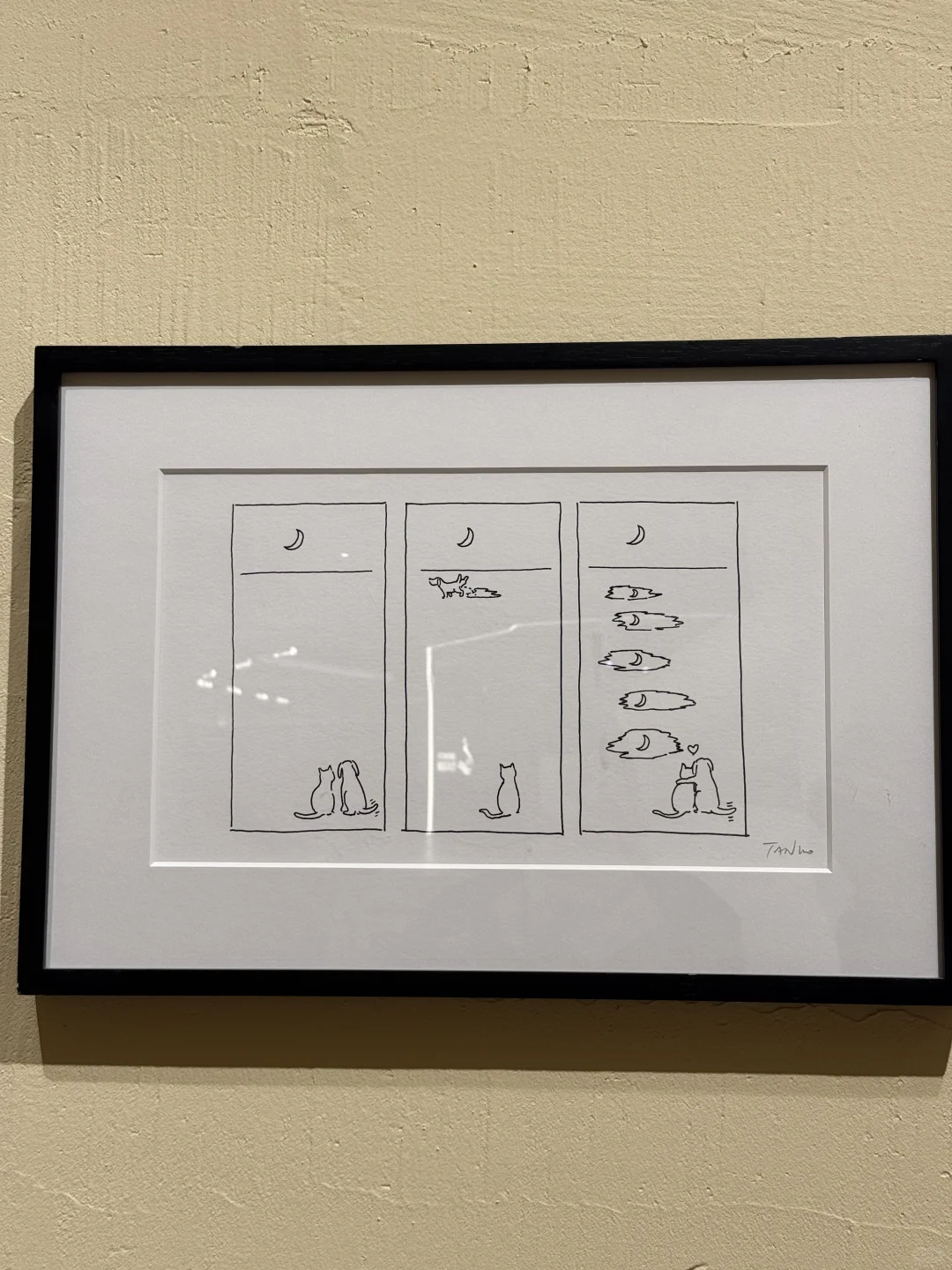 ??后海汇TANGO猫狗疗愈展来啦!✨