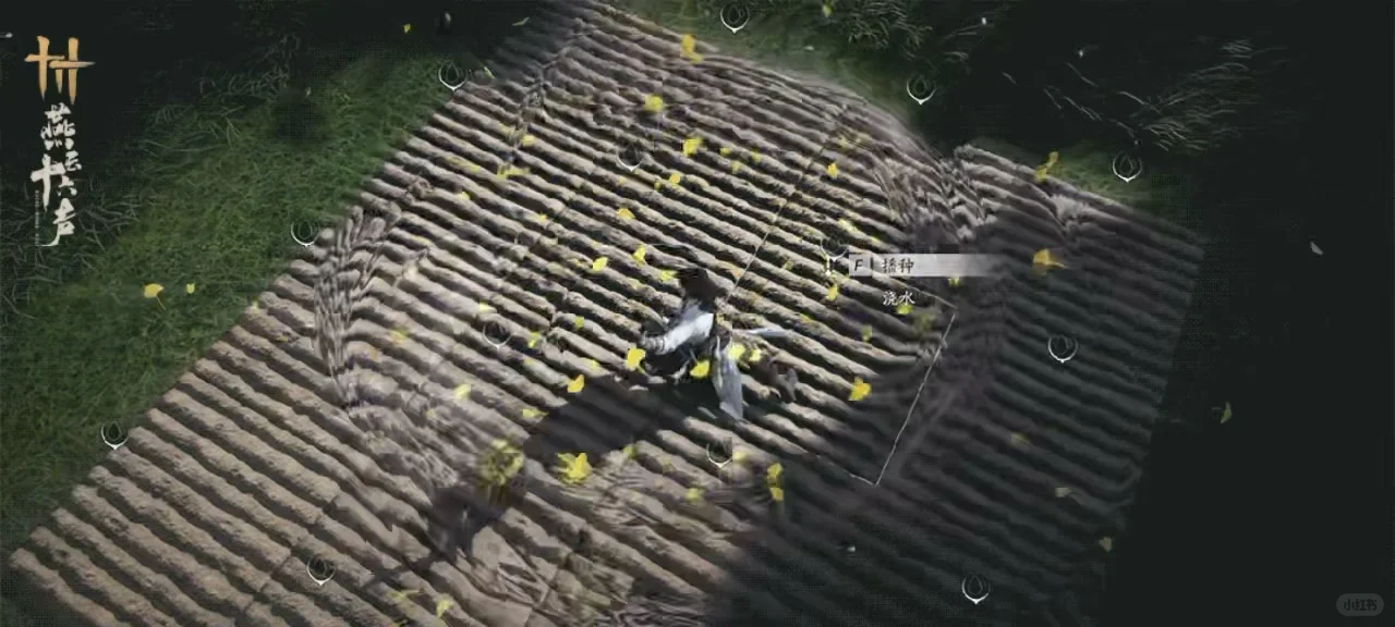 家业前瞻丨像个武林高手一样种地