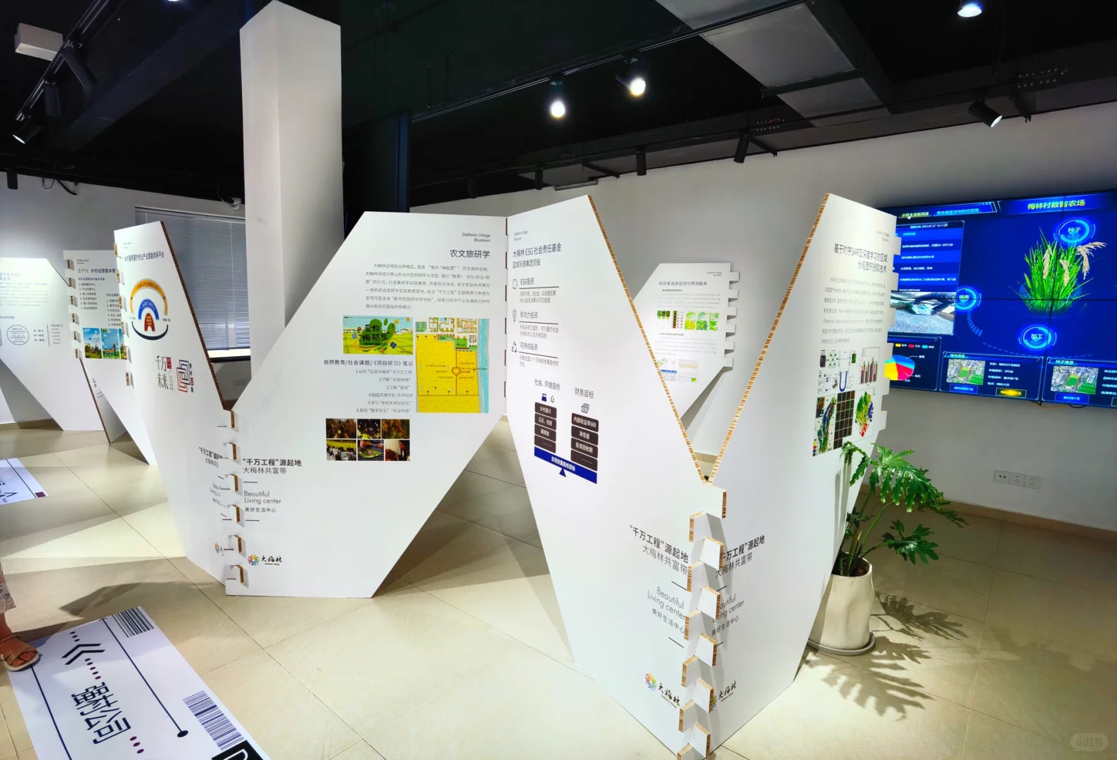 大梅林产业可持续发展“千万工程”特展