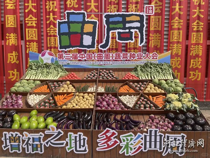 曲周10亿株“科技苗”15省落地生根