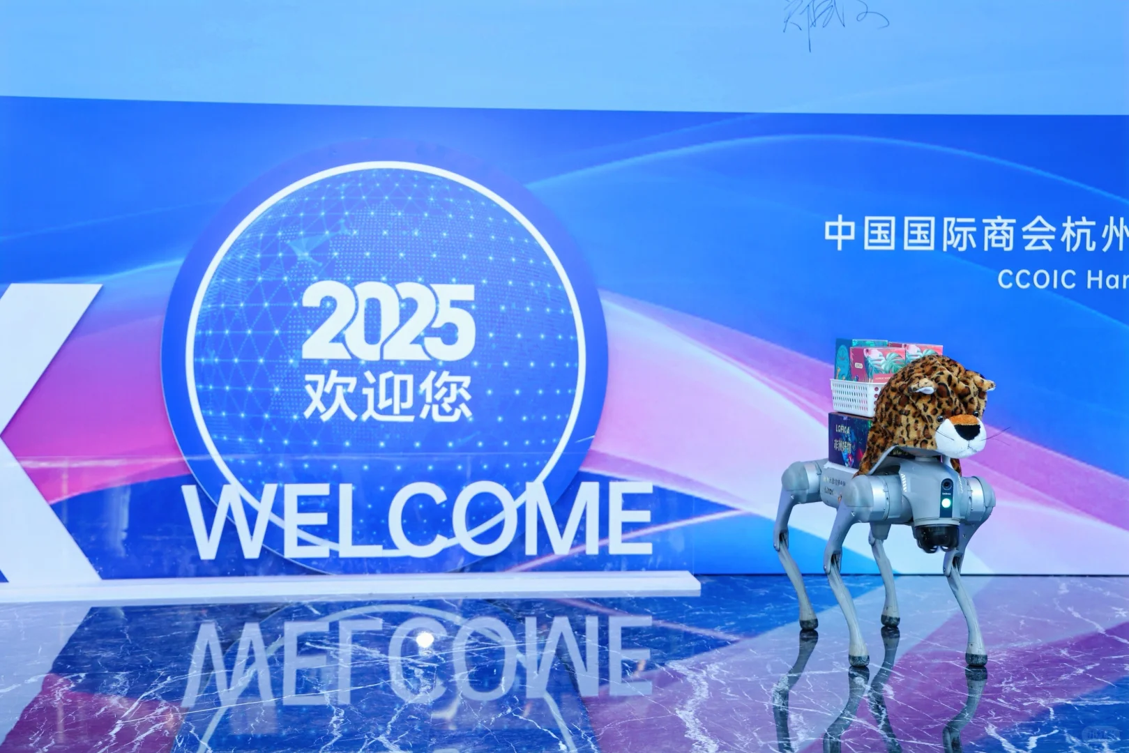 中国国际商会杭州商会四届四次理事会