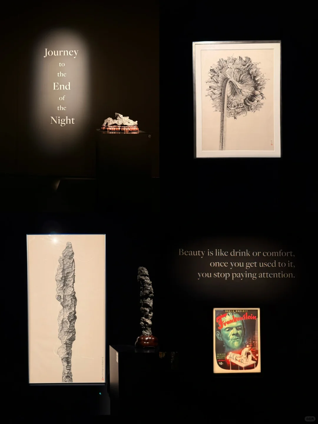 近期来香港一定要看震撼新展!!