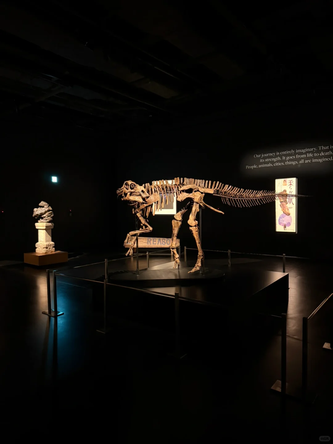 近期来香港一定要看震撼新展!!