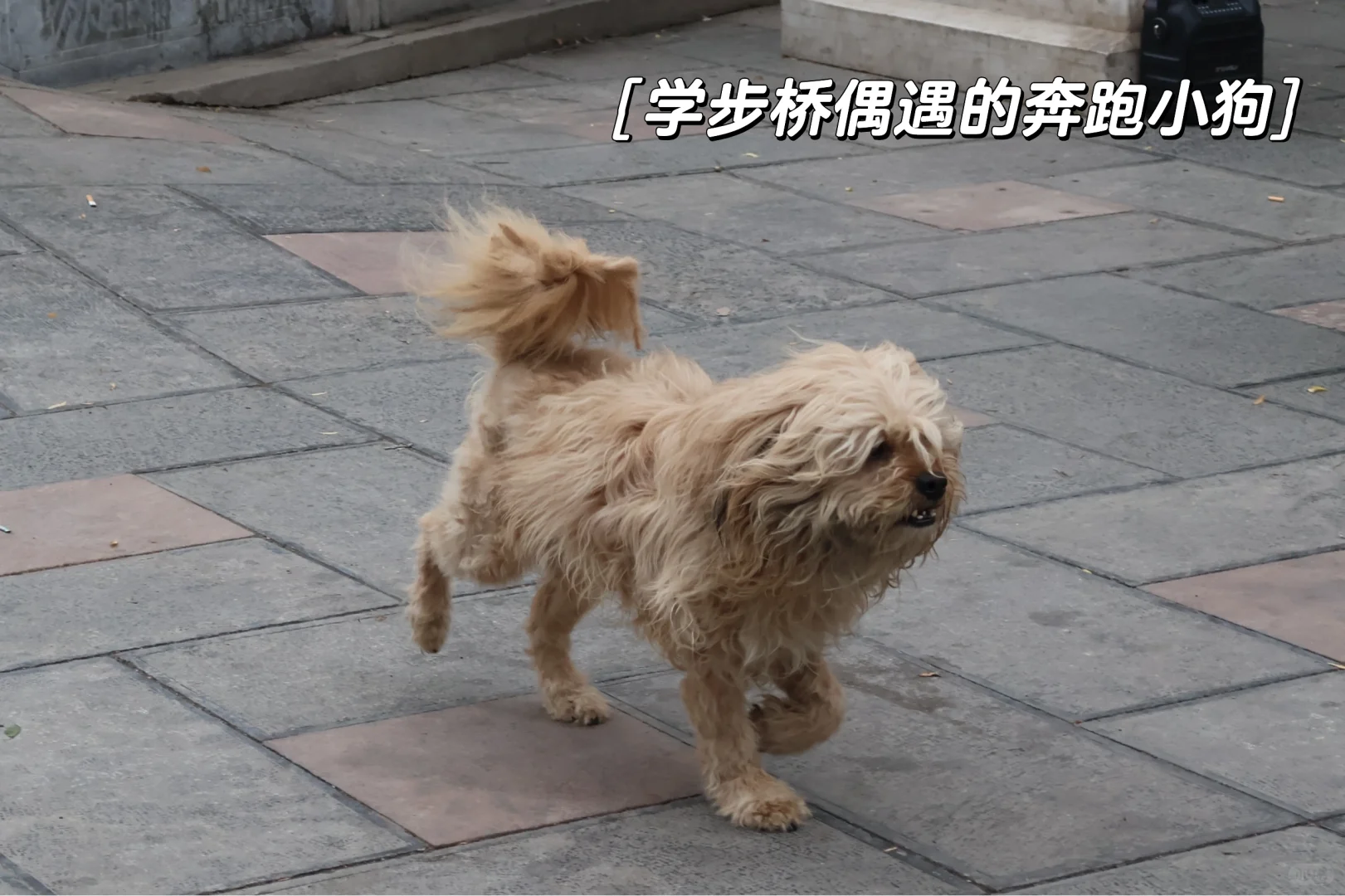 邯郸——下次还来