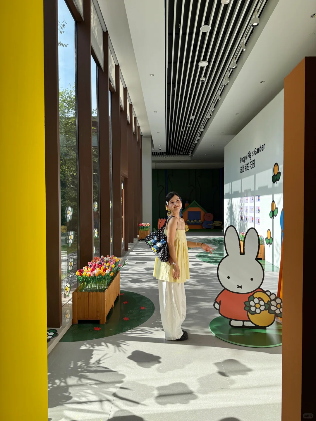 杭州新展?做了一个很长的梦?关于米菲