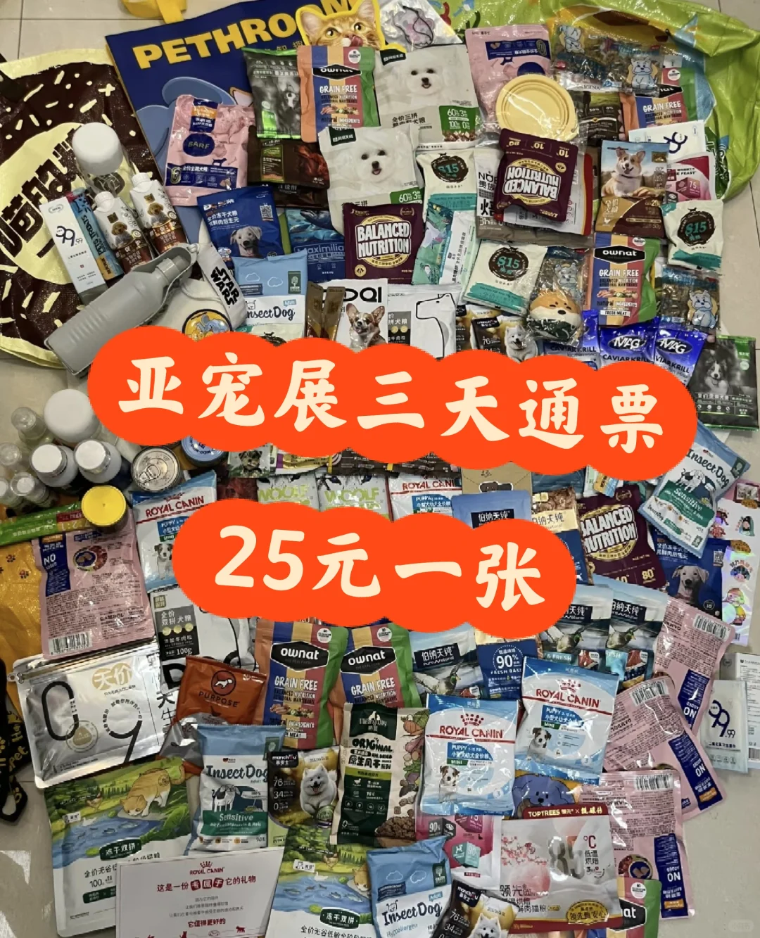 不会真的有人周末去亚宠展吧？？