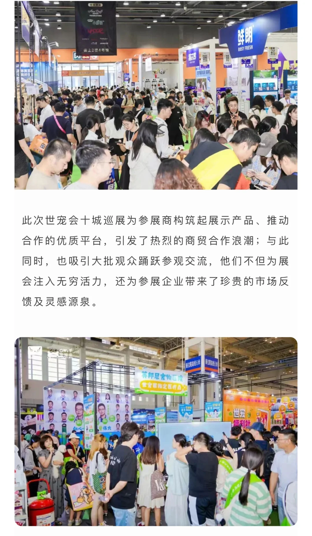 2025武汉世宠会门票20啦‼️速来媷羊毛～