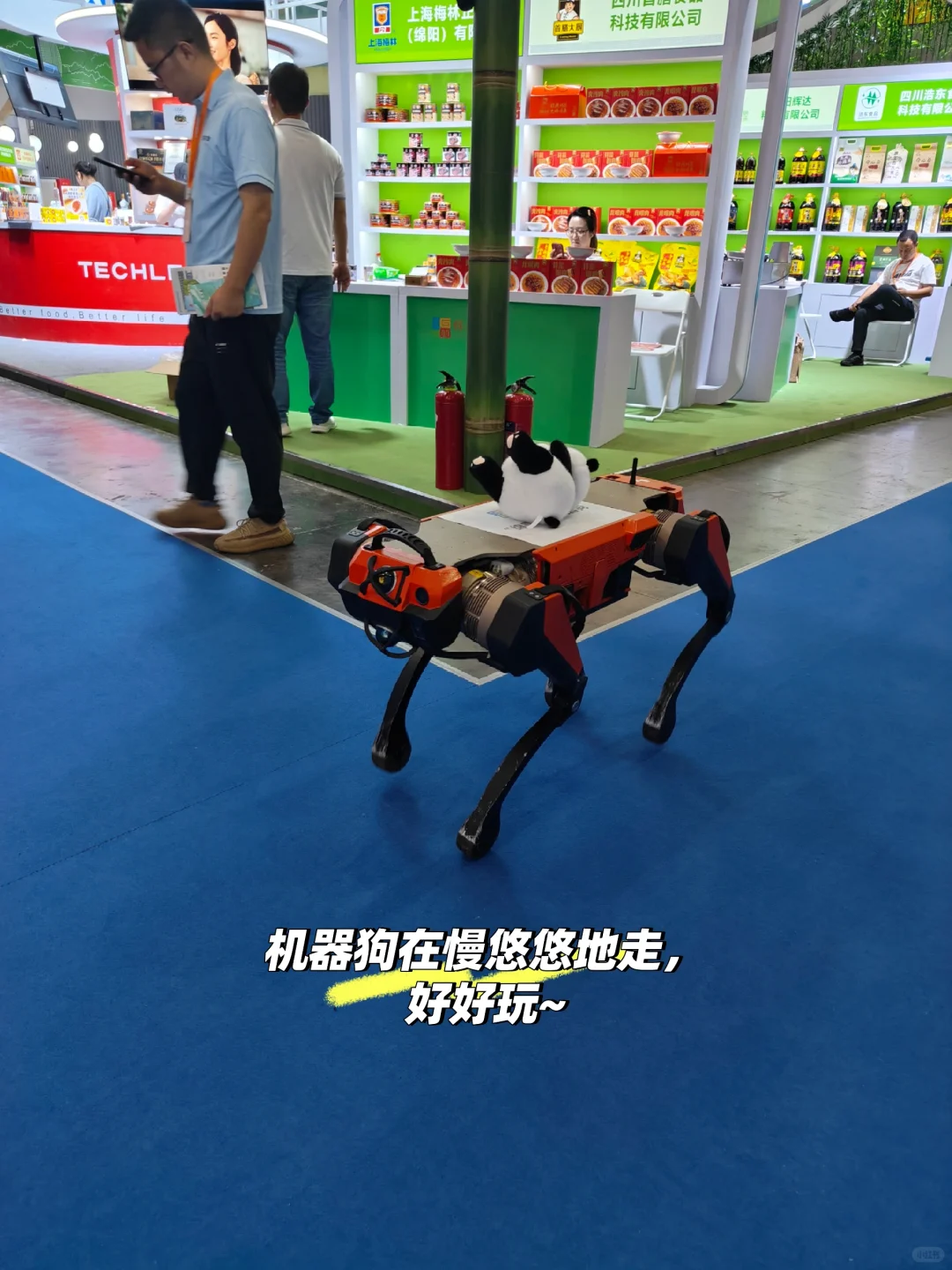 “成都免费自助餐”成渝美食工业博览会攻略