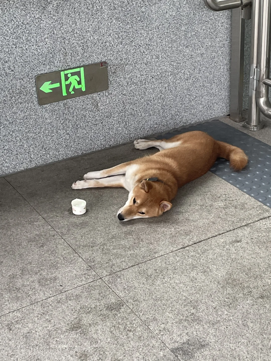 会展中心地铁站A口
