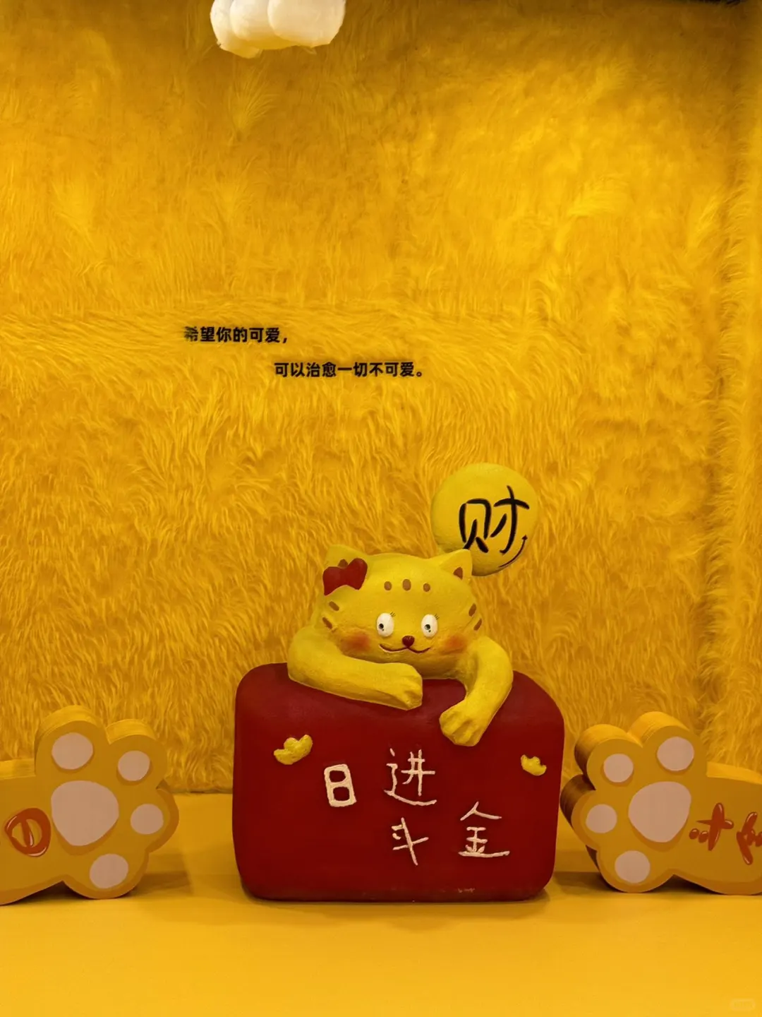 合肥首展！！！合肥首展！！