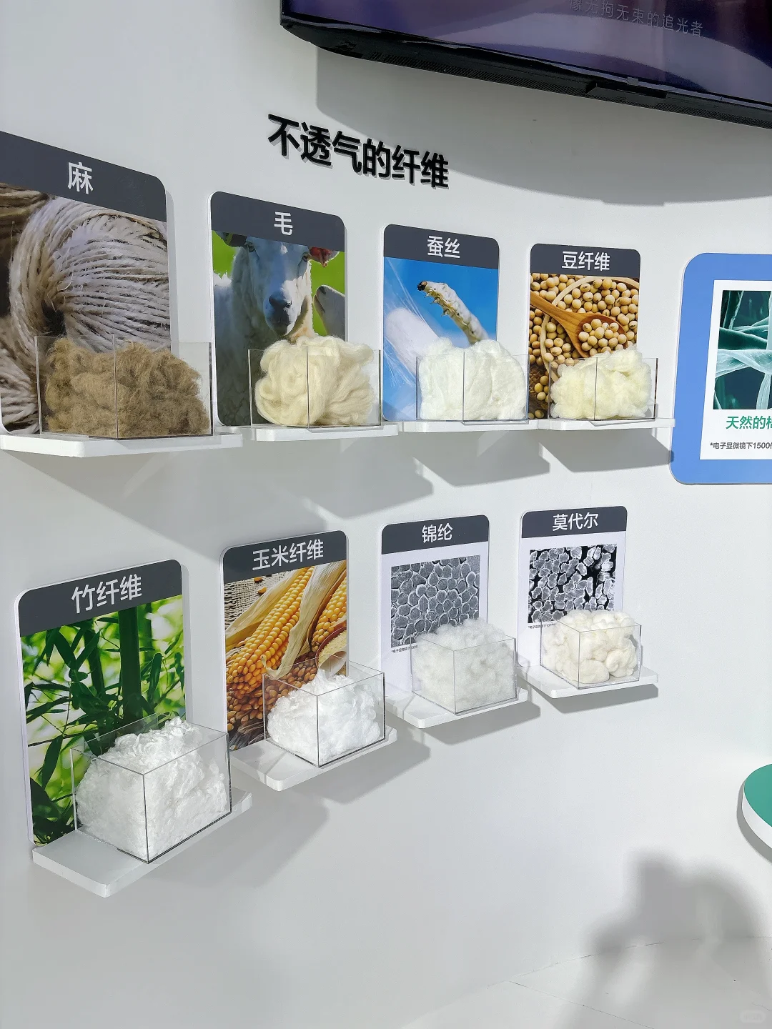 北京链博会打卡！钻进棉花的世界