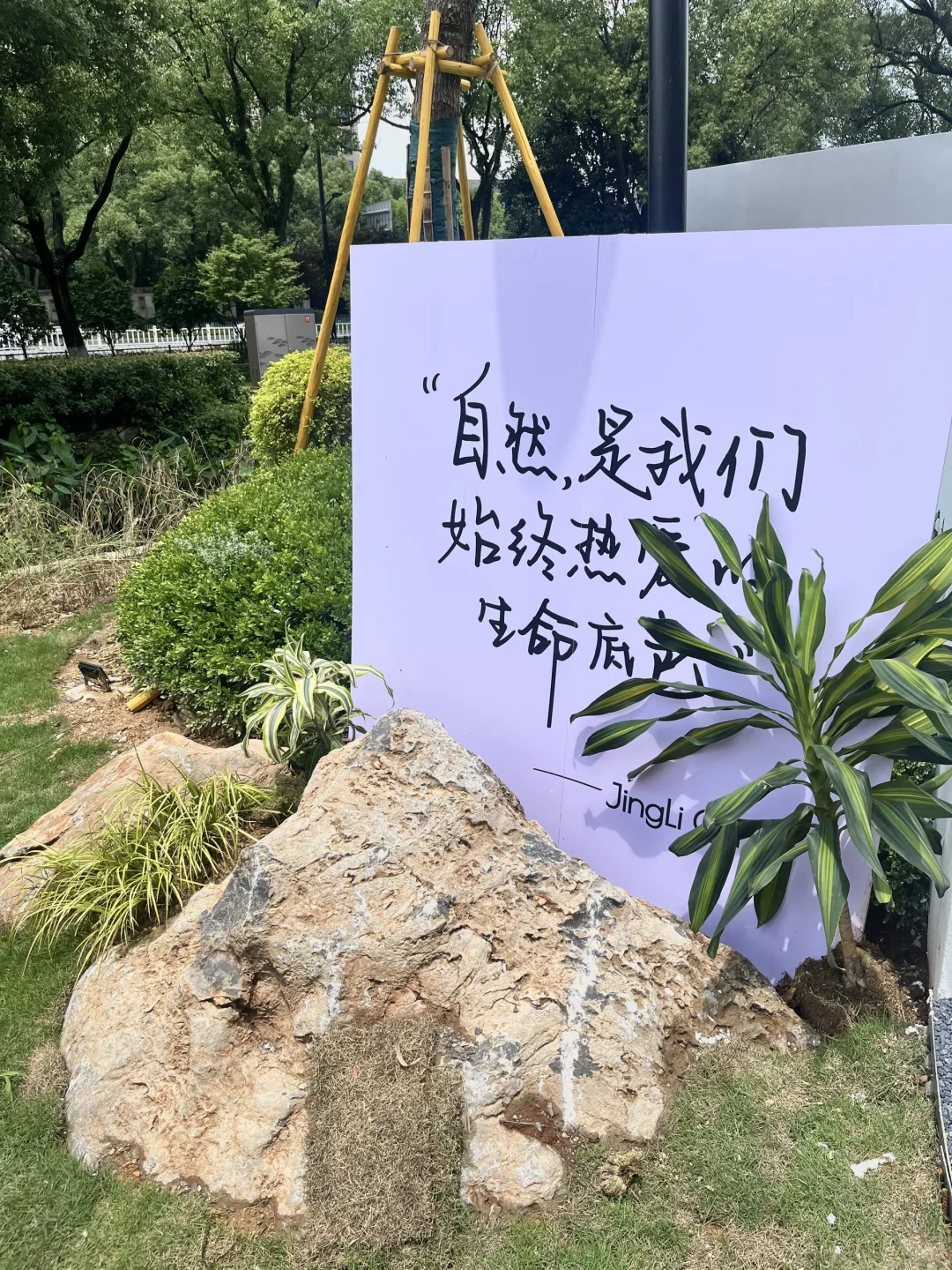 温州❗️这个新晋小众艺术展真的在造梦